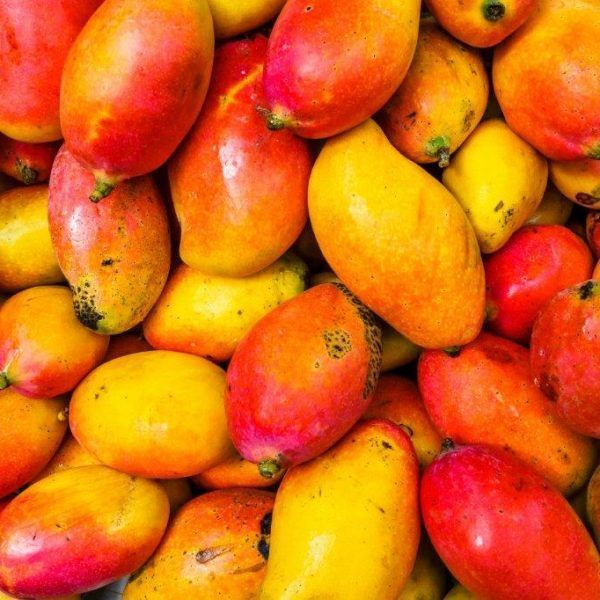 Gastronomía de Guatemala, Petén y Flores