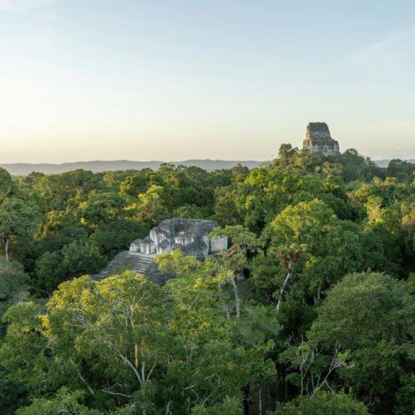 Visión general de Tikal
