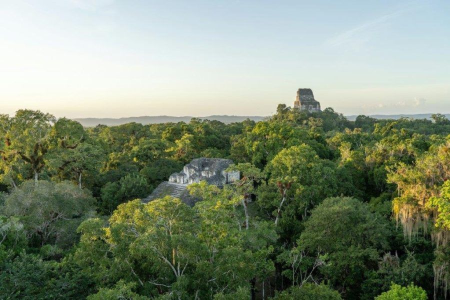 Visión general de Tikal