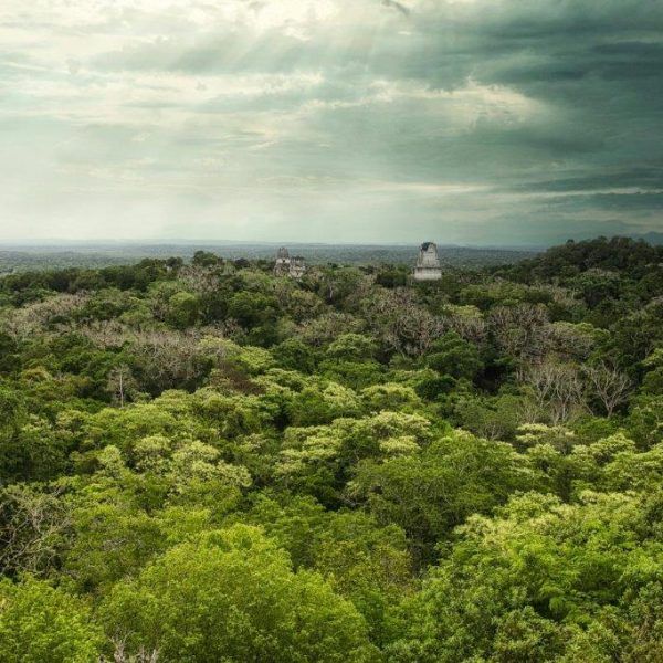 Consejos para visitar Tikal